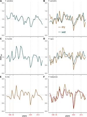 Tree Species Are Differently Impacted by Cumulative Drought Stress and Present Higher Growth Synchrony in Dry Places